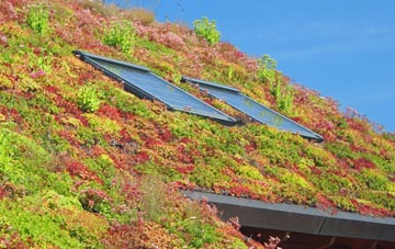 Chadshunt living roof systems